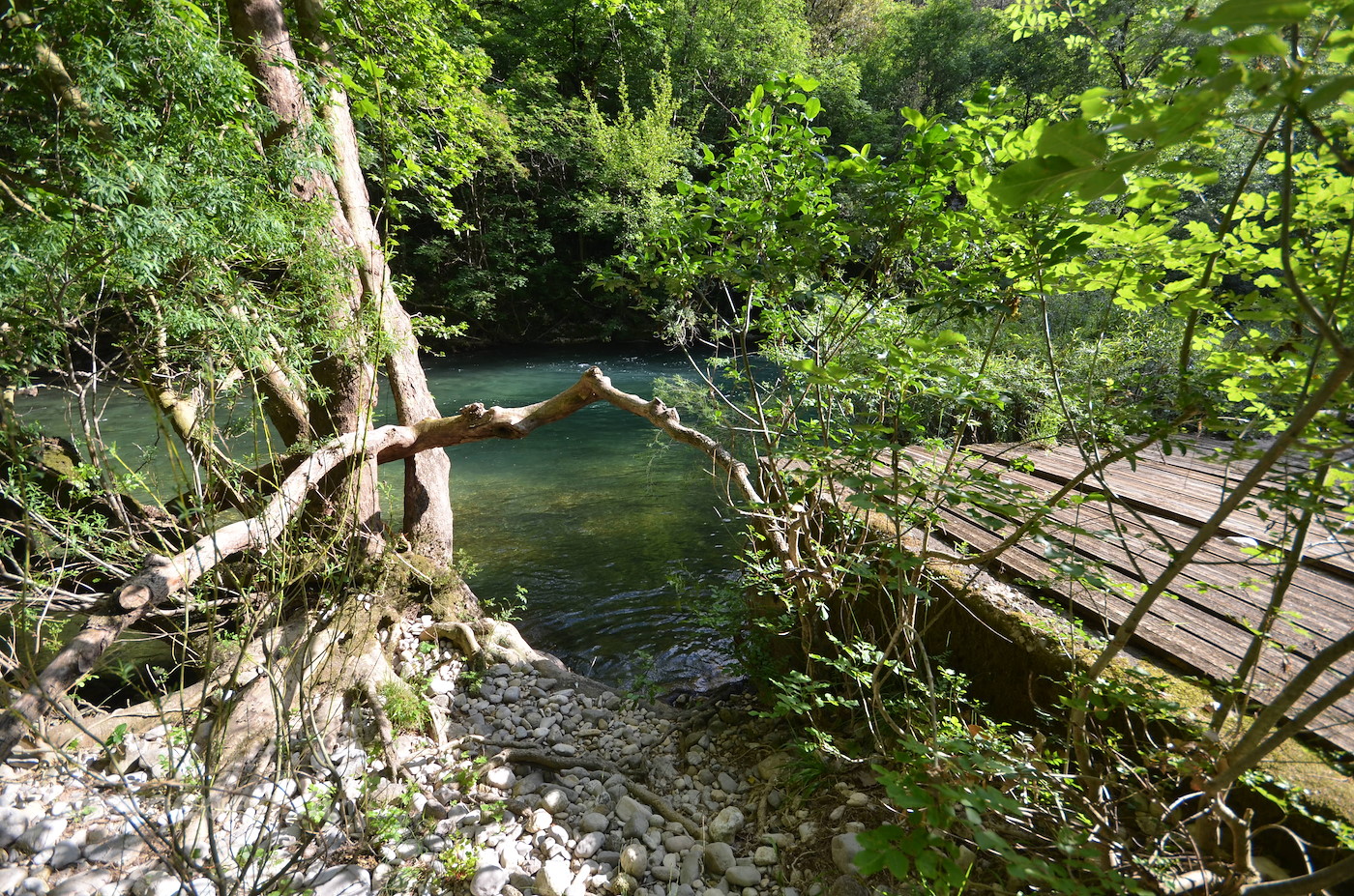 Groepsaccommodatie Gornies